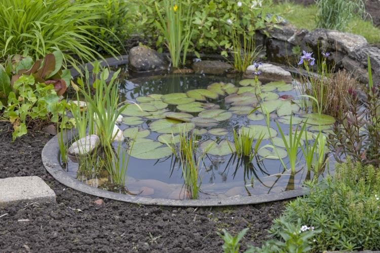 Λίμνη κήπου εικόνες ιδέες κήπου νερά φυτά κήπος και τοπίο