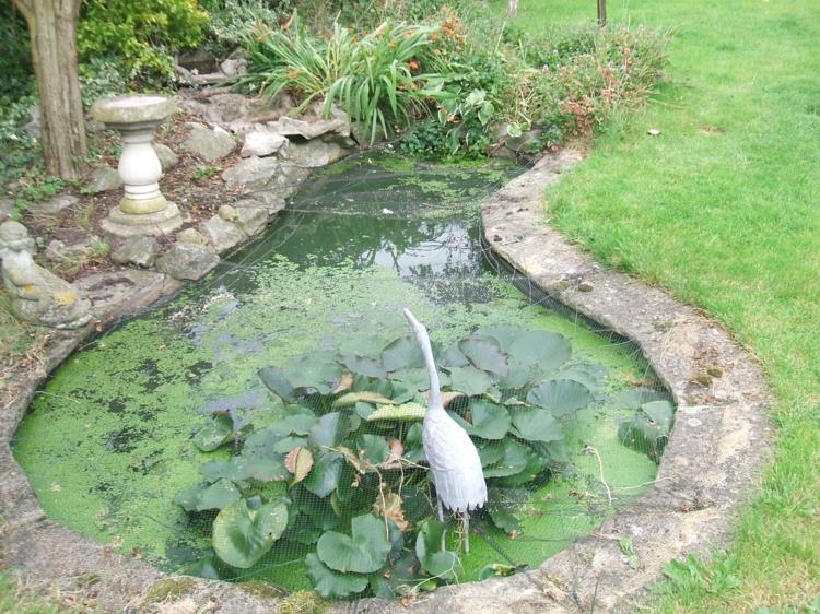 Λίμνη κήπου εικόνες λίμνη κήπου άγαλμα πουλιών υδρόβια φυτά
