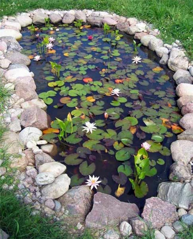 Λίμνες κήπου ιδέες σχεδιασμού κήπου νερά φυτά κρίνα