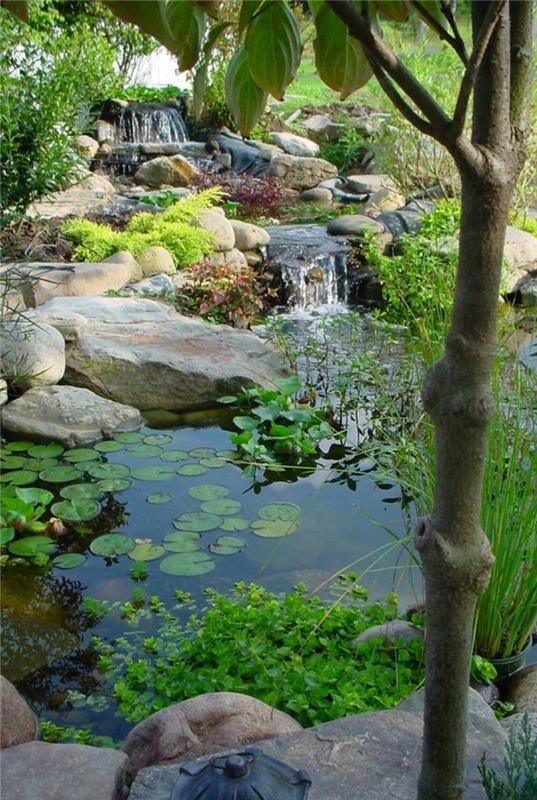 Λίμνες κήπου υδρόβια φυτά λιμνούλα σχεδιασμός κήπου με πέτρες