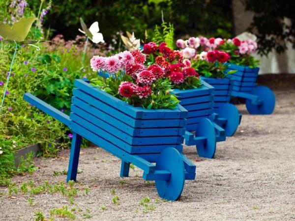 Συμβουλές κηπουρικής για όλους Ζωγραφική παλιών ξύλινων καροτσιών μπλε Φύτευση ανταύγειας στον κήπο