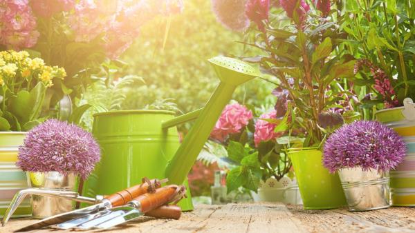 Συμβουλές κηπουρικής για όλους να περάσουν καλά έξω