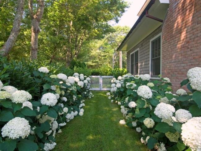 Πύλη κήπου λευκό εξοχικό στυλ