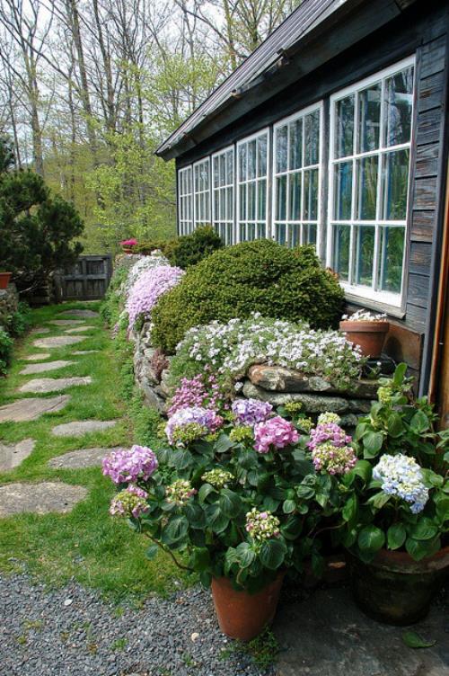 Μονοπάτια κήπου από πέτρινες πλάκες με γρασίδι κατάφυτες ορτανσίες στο σπίτι