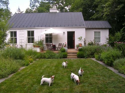 Δημιουργήστε ένα άνετο σπίτι πίσω αυλή γρασίδι ζώα σκυλιά υπεύθυνη