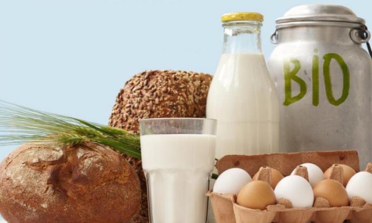 Υγιεινά και ισορροπημένα τρόφιμα σε περιόδους κρίσης κορονοϊού βιολογικά προϊόντα αυγά γάλα σπιτικό ψωμί