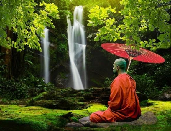 Βουδιστής μοναχός δέντρου Ginkgo που σημαίνει Ginkgo Biloba