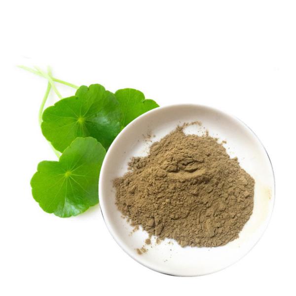 Gotu Kola ασιατικό γρασίδι τίγρης θεραπευτική δύναμη από τη φύση