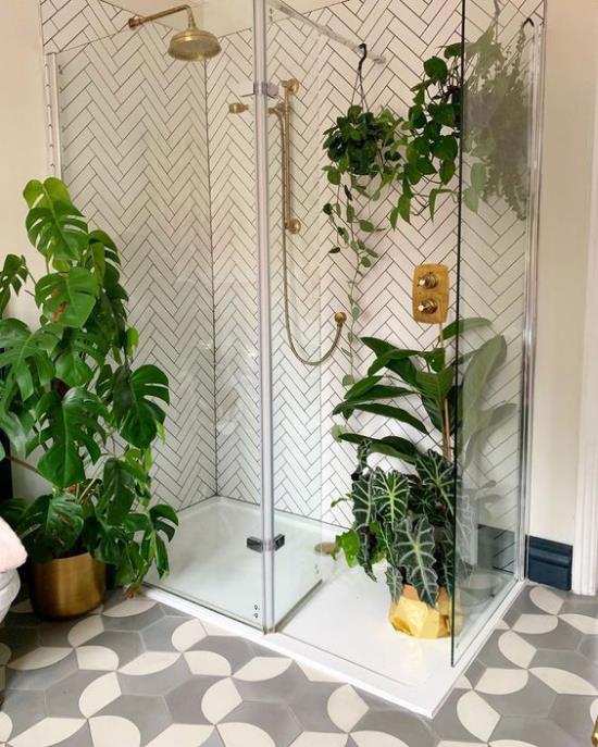 Πράσινο στο μπάνιο καμπίνα ντους γυάλινος τοίχος Philodendron κρεμαστά φυτά πλακάκια δαπέδου με μοτίβο