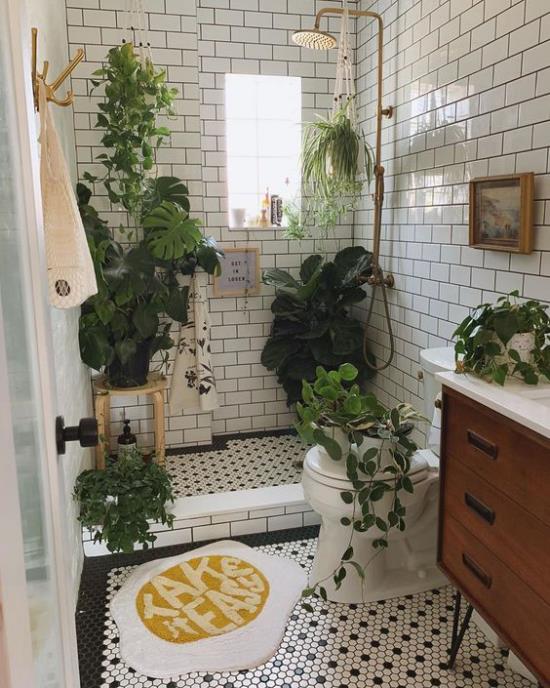 Πράσινο στο μπάνιο ντους γωνία λεκάνη τουαλέτας ματαιοδοξία πολλά πράσινα φυτά πράσινη όαση