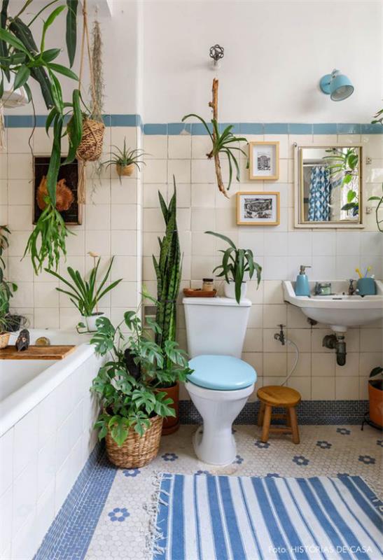 Πράσινο στο μπάνιο Τα φυτά αέρα ευδοκιμούν χωρίς χώμα, κατάλληλα για το μπάνιο