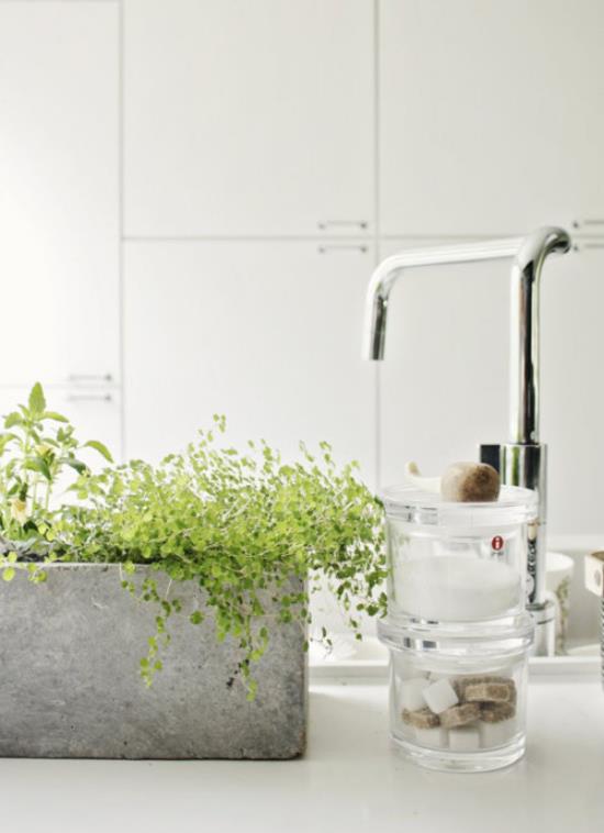 Πράσινο στο δοχείο μπάνιου πράσινα φυτά δίπλα στη βρύση
