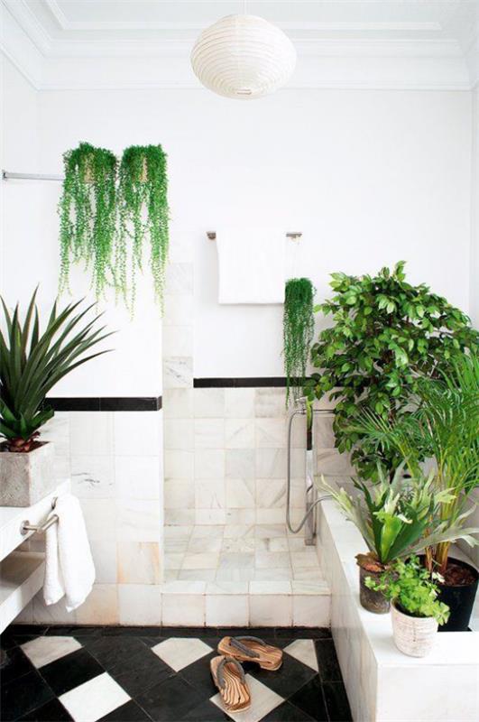 Διάφορα πράσινα φυτά μπάνιου διακοσμούν το λευκό μπάνιο