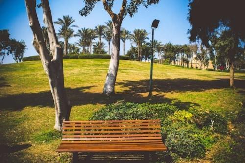 Πράσινο τοπίο πράσινου τοπίου Ali-Azhar Park Cairo