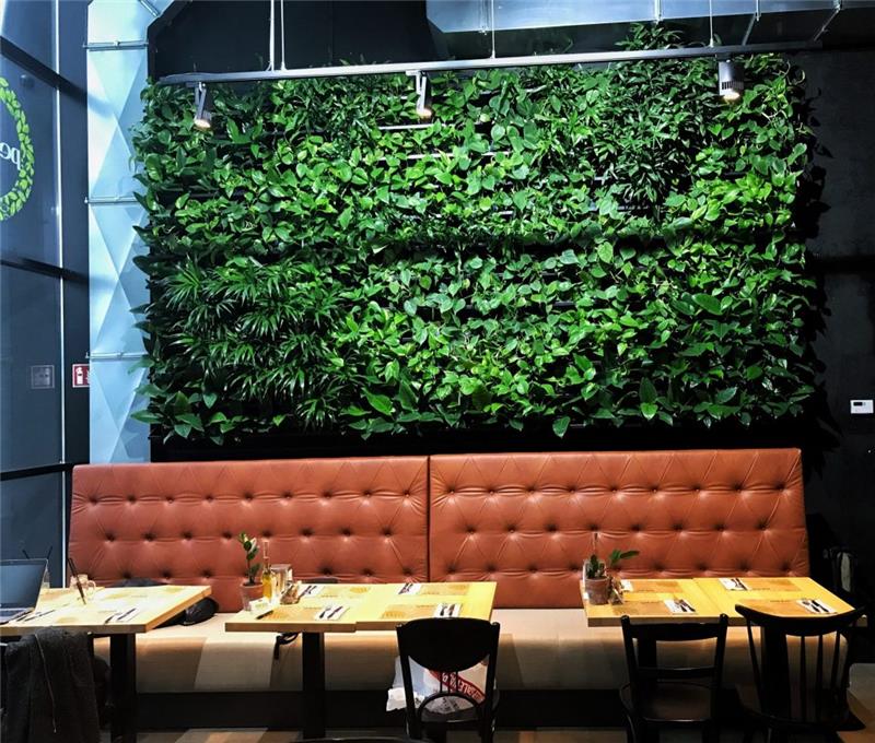 Σχεδιασμός πράσινου τοίχου Πράσινα φυτά πίσω από έναν καναπέ