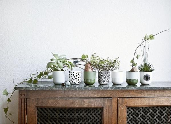 Πράσινα φυτά εικόνες δοχείο φυτών δωματίου τραπέζι