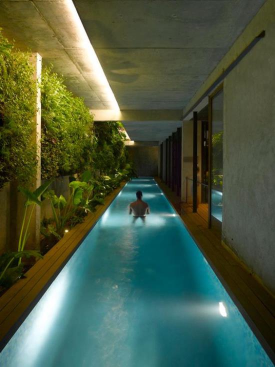Εσωτερική πισίνα στο σπίτι επιμήκης μορφή άντρας στο νερό ανθεκτικό στην υγρασία φωτίζοντας πολλά πράσινα φυτά μια τροπική ατμόσφαιρα