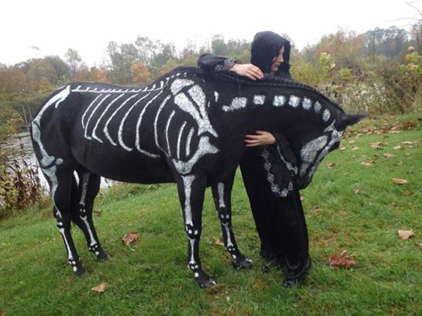 Εξαιρετικές στολές αποκριών για κατοικίδια ζώα σκελετό άλογο