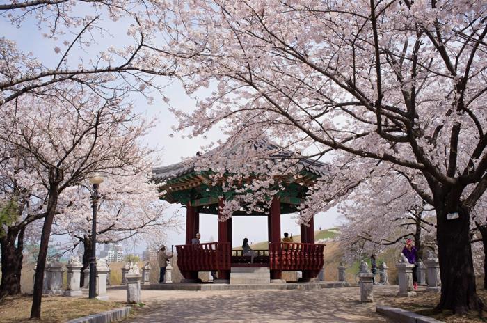 Πρωτεύουσα της Νότιας Κορέας φεστιβάλ Ολυμπίας πάρκο