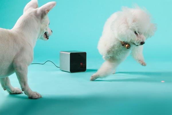 Κατοικίδιου ζώου μέσω κινητού τηλεφώνου σκύλου σκύλου γάτας petcube