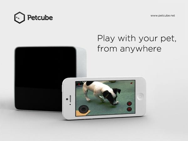 Κατοικίδιο ζώο με το σκύλο smartphone σας εν κινήσει