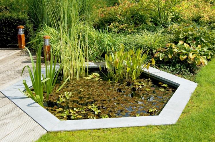 Λίμνη κήπου πίσω αυλής Ιαπωνικές ιδέες κήπου λιμνούλα φυτών νερού