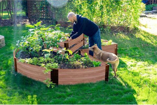 Ανυψωμένο κρεβάτι σε σχήμα κλειδαρότρυπας σε ένα ηλιόλουστο μέρος στον κήπο στρογγυλό σχήμα νεαρού σκύλου