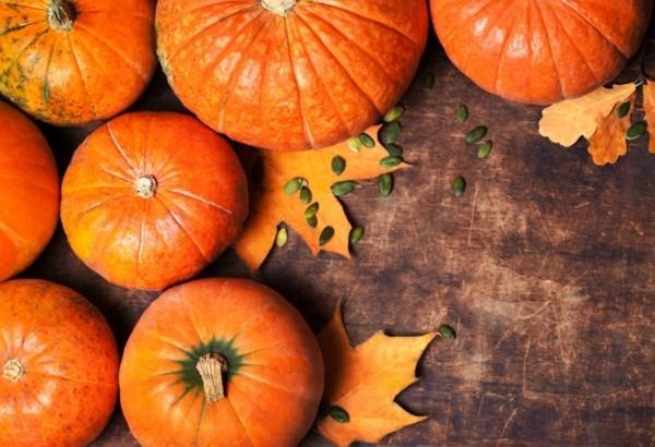 Hokkaido Pumpkin Harvest Pumpkin Dishes Κολοκυθόσουπα Hokkaido Pumpkin Healthy