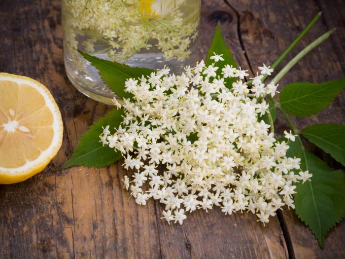 Elderflower συνταγή κατσαρόλα σιρόπι