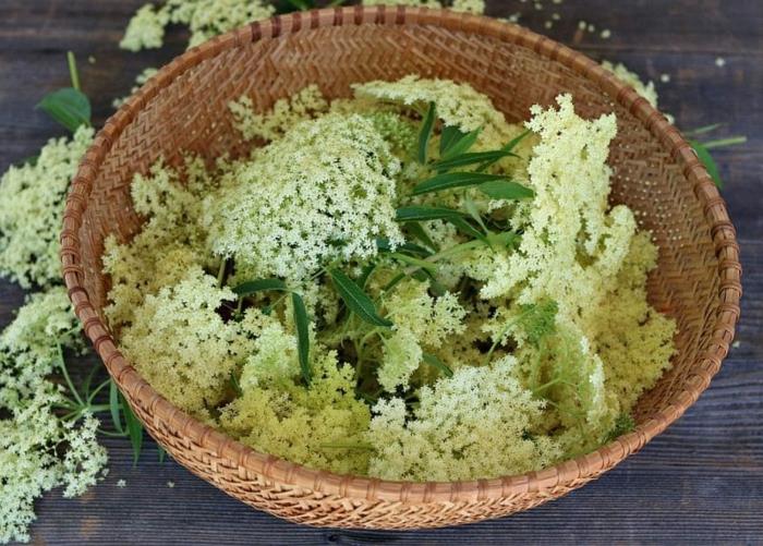 Συνταγή Elderflower με τράβηγμα λεμονιού