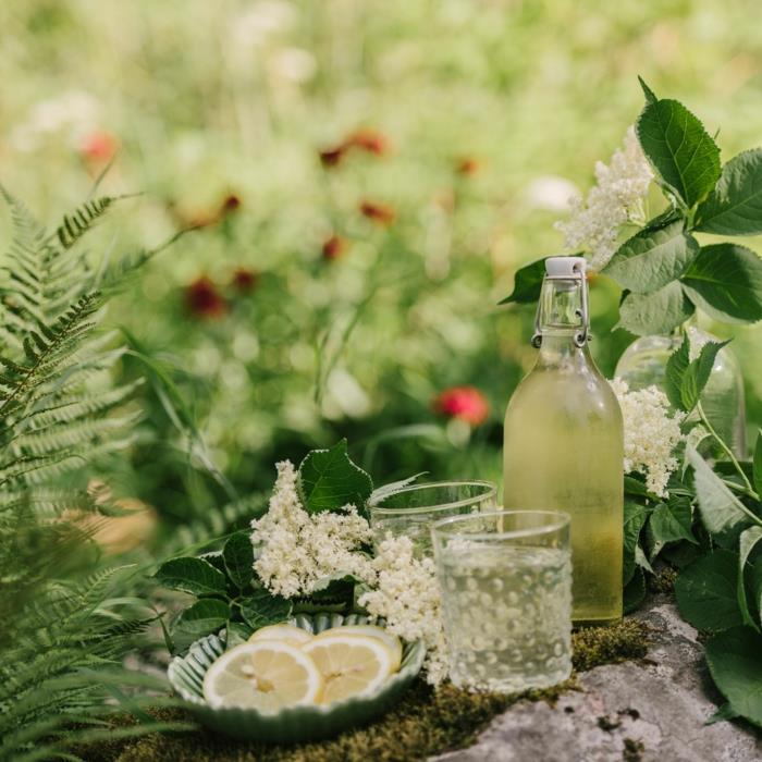 Elderflower συνταγή σιρόπι μπουκάλι φρέσκα λουλούδια