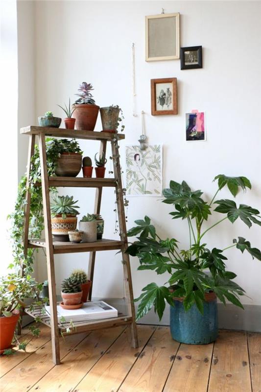 Ξύλινη σκάλα σαλόνι έπιπλα εσωτερικού χώρου φυτά ράφι