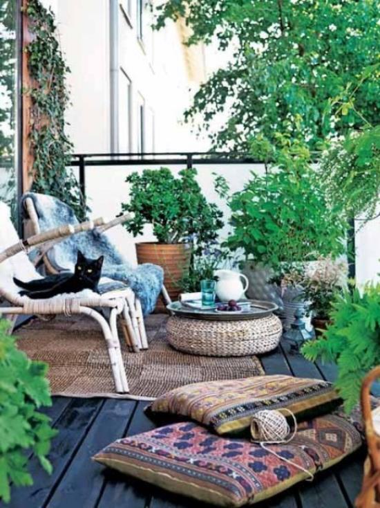 Ξύλινο σχέδιο βεράντας boho στυλ μαξιλάρι καθίσματος μαύρη γάτα πολλά πράσινα φυτά