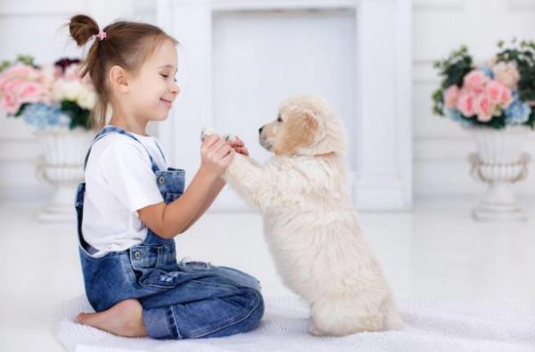 Αλλεργία σκύλων - υπέροχες ιδέες για το σπίτι