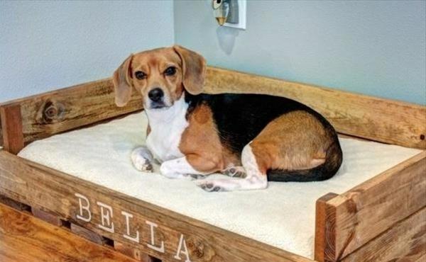 Κρεβάτια σκύλων στρώματα ξύλινες γάτες καναπέδες κατοικίδια πλαίσιο
