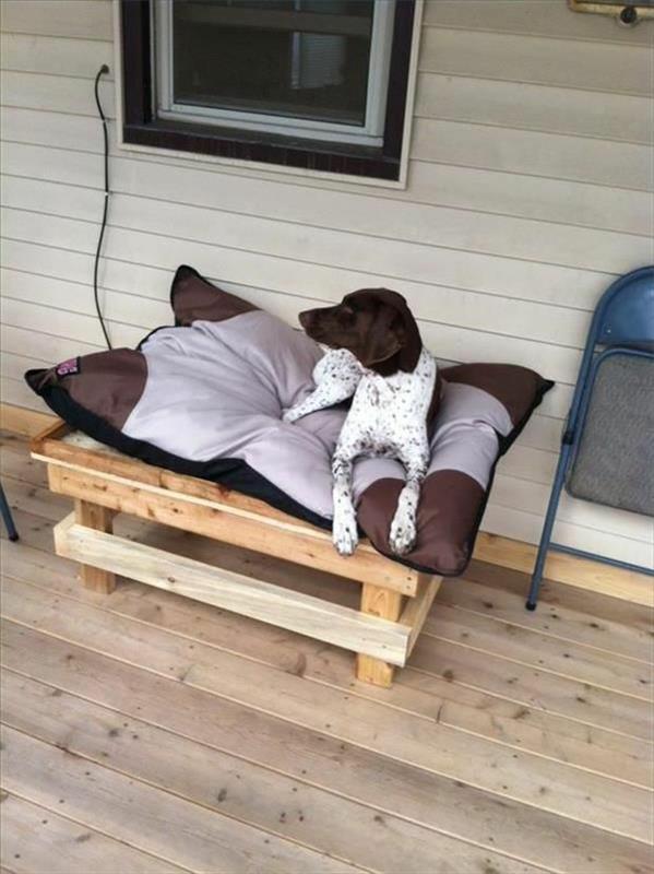Κρεβάτια σκύλων ξύλινες γάτες καναπέδες κατοικίδια βεράντα
