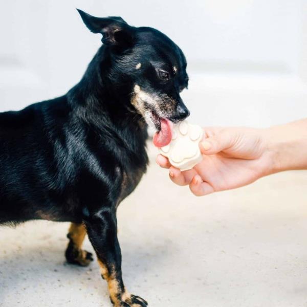 Πώς να φτιάξετε άκρες για παγωτό σκύλου και συνταγή φυστικοβούτυρο