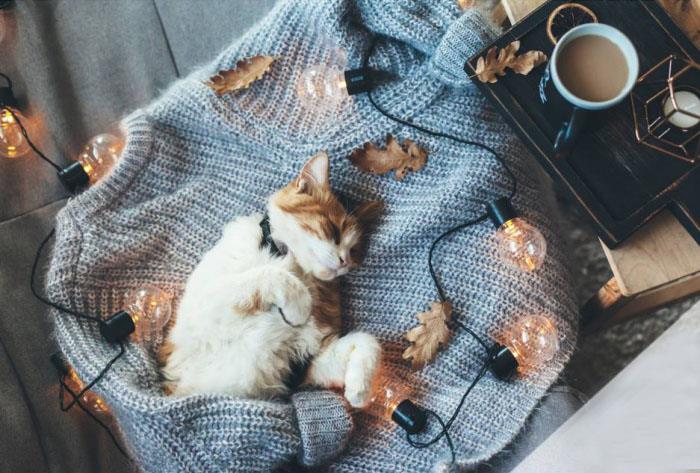 Τρόπος ζωής Hygge