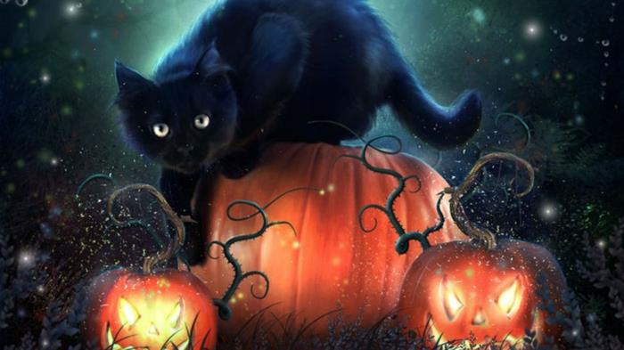 Ιδέες για αποκριάτικη μαύρη γάτα Ιδέες για αποκριάτικη διακόσμηση Αποκριάτικο φανάρι κολοκύθας