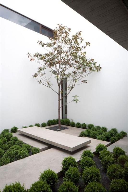 Κομψή εσωτερική αυλή Σκανδιναβικός σχεδιασμός συναντά την ιαπωνική κομψότητα Οι τσιμεντένιες πλάκες δέντρων