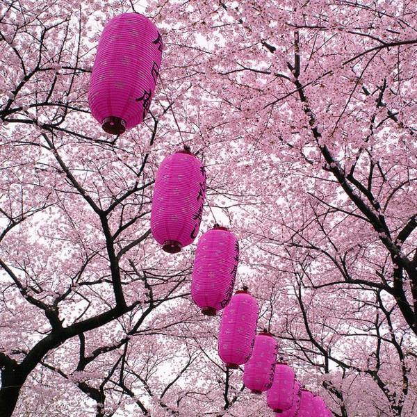 Ιαπωνικό φανάρι ροζ δέντρο