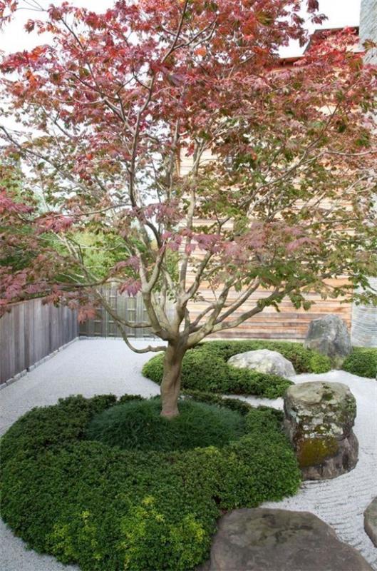 Ιαπωνικός κήπος υψηλής αισθητικής οπτικής αρμονίας Ιαπωνικοί πράσινοι θάμνοι σφενδάμου πολύ ελκυστική εικόνα