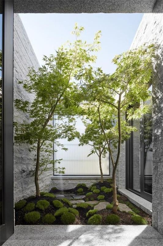 Ιαπωνικός κήπος υψηλής αισθητικής οπτικής αρμονίας μικρή περιοχή βρύα πράσινα δέντρα