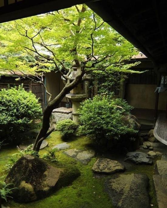 Γιαπωνέζικοι κήποι βρύα κήπων πέτρες δέντρων πράσινοι θάμνοι
