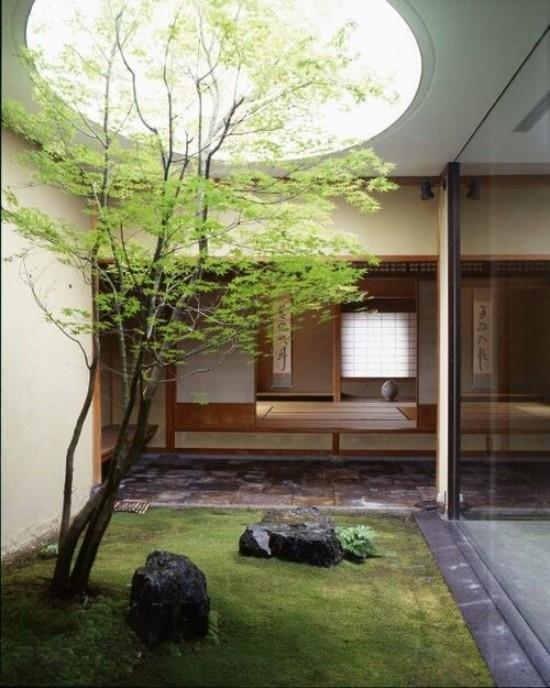 Ιαπωνικός κήπος αυλής υψηλής αισθητικής οπτικής αρμονίας πέτρες βρύα γυάλινος τοίχος
