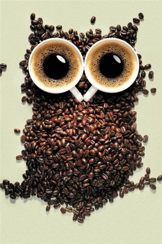 Τύποι καφέ καφέ πίνει καφέ καφέ κουκουβάγια κόκκους καφέ