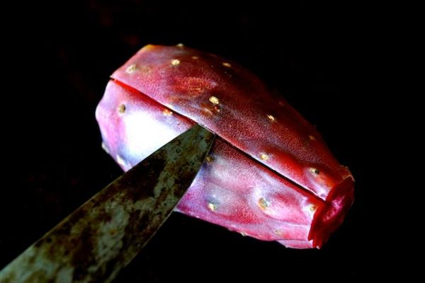 Φραγκόσυκο τροφίμων σημειώσεις κάκτος φρούτα φραγκοσυκιά opuntia