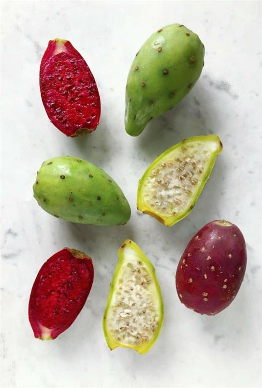 Το φραγκόσυκο τρώει φρούτα κάκτου διαφορετικά χρώματα opuntia
