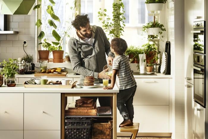Σχεδιασμός κουζίνας Οι κουζίνες Ikea από ανοξείδωτο χάλυβα μαγειρικά βότανα