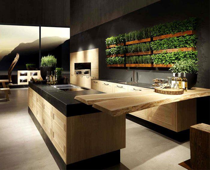 Τάσεις της κουζίνας πράσινος τοίχος με φυτά